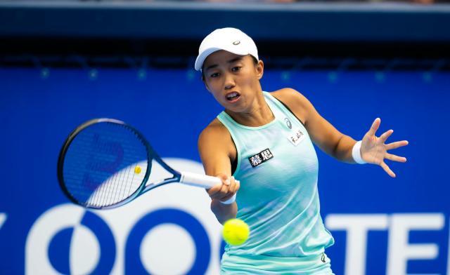 球天下官网-张帅遭压制无缘决赛  继续“发力”将追平最佳排名